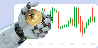 Steinerz Global Kryptowährungsaustausch-Plattform Dashboard-Ansicht
